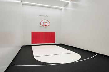 Full outdoor basketball court